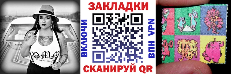  COCAIN Кингисепп