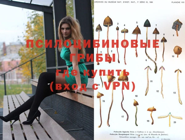 a pvp Абинск