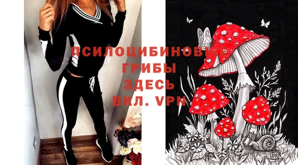 a pvp Абинск